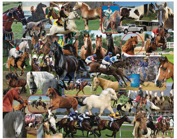 Horses, Horses, Horses Puzzle by Steve Smith